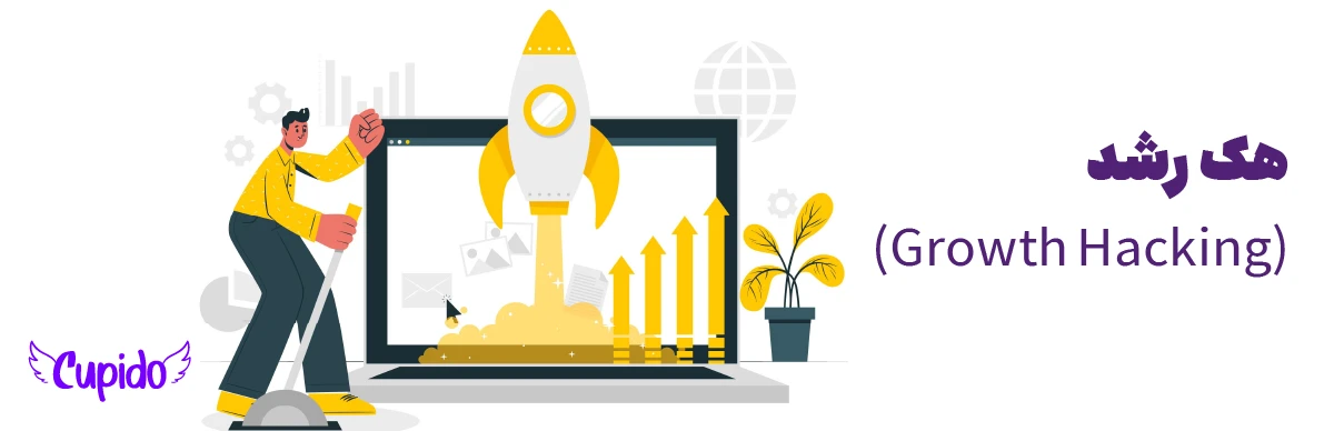 هک رشد (Growth Hacking)